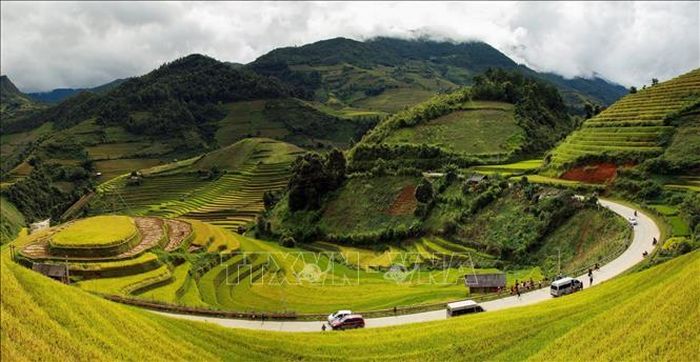 Rực rỡ mùa vàng Mù Cang Chải.