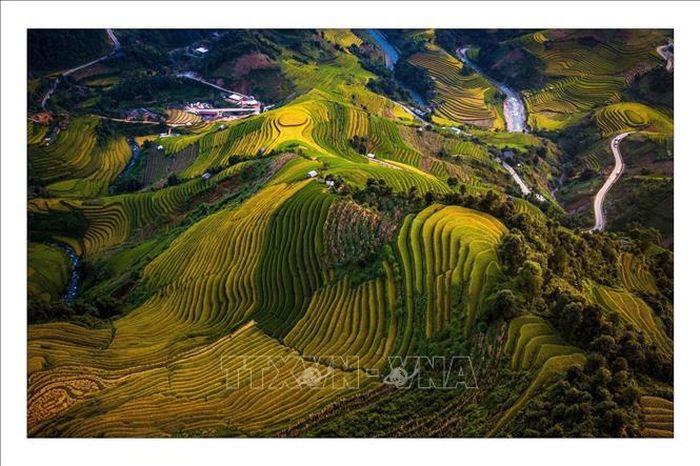 Rực rỡ mùa vàng Mù Cang Chải.