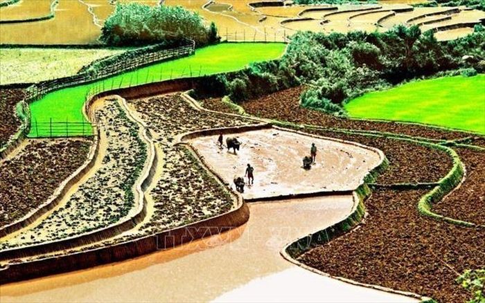 Ruộng bậc thang - Nét đẹp văn hóa và công trình nghệ thuật độc đáo của đồng bào các dân tộc vùng cao phía Bắc.