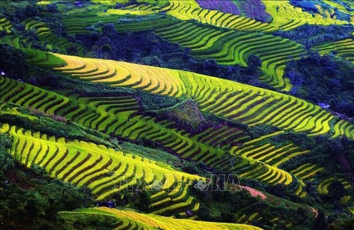 Ruộng bậc thang - Nét đẹp văn hóa và công trình nghệ thuật độc đáo của đồng bào các dân tộc vùng cao phía Bắc.
