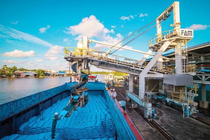 Đạm Cà Mau - Vững tin vượt sóng
