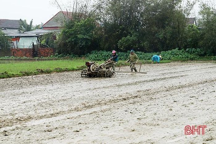 Nhân dân xã Cẩm Quang ra đồng làm đất, chuẩn bị gieo cấy khi thời tiết thuận lợi.