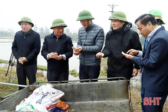 Bí thư Tỉnh ủy cùng đoàn kiểm tra chất lượng giống lúa.