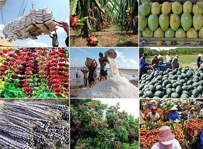 Doanh nghiệp nông sản cần chủ động giải pháp xuất nhập khẩu với Trung Quốc