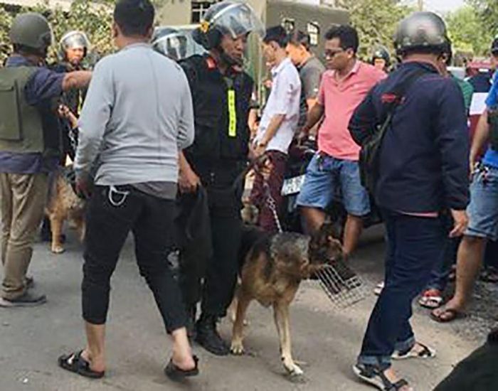 Chó nghiệp vụ được mang đến truy bắt kẻ giết người. Ảnh: N.YÊN