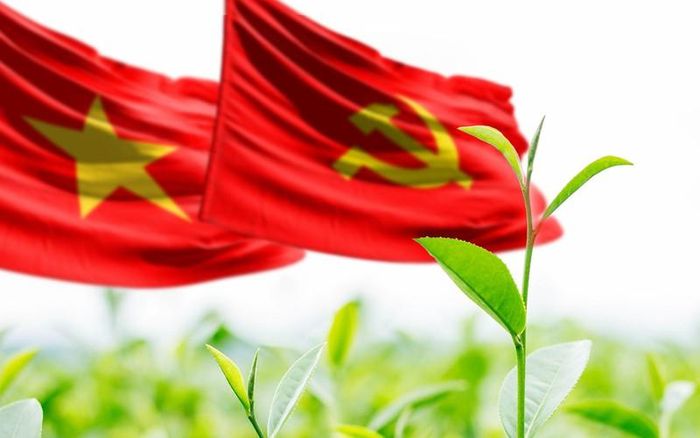 Ảnh minh họa: vov.vn.