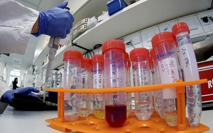 Cả thế giới đang chạy đua chế tạo vacxin ngừa virus corona