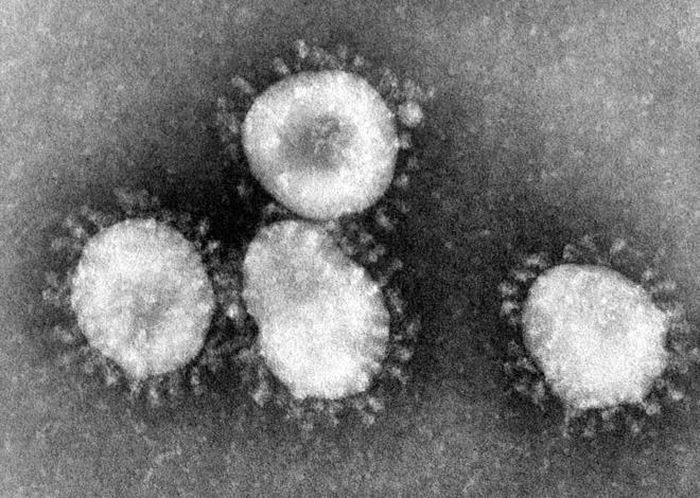 Chủng virus mới này được xác định trong cuộc điều tra ổ dịch bắt nguồn từ khu chợ chuyên bán hải sản và động vật ở thành phố Vũ Hán, tỉnh Hồ Bắc, Trung Quốc. (Ảnh: Infection Controltoday)