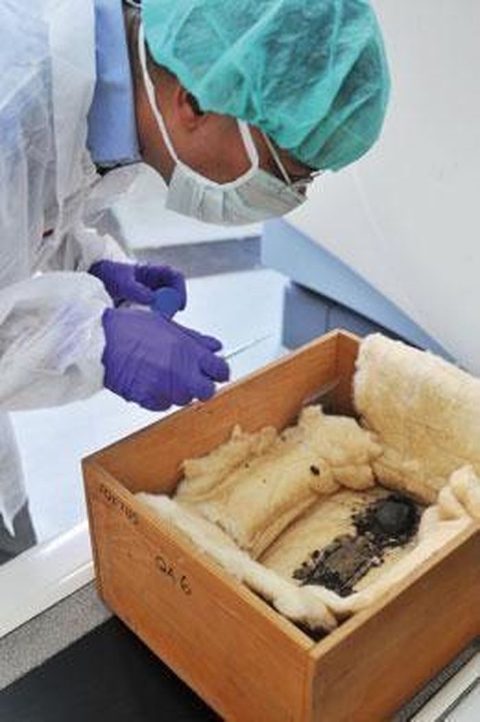 Theo giả thuyết này, 2 xác ướp bào thai được đặt vào trong lăng mộ của Tutankhamun nhằm tôn vinh ông bởi lẽ nhà vua qua đời khi còn rất trẻ.