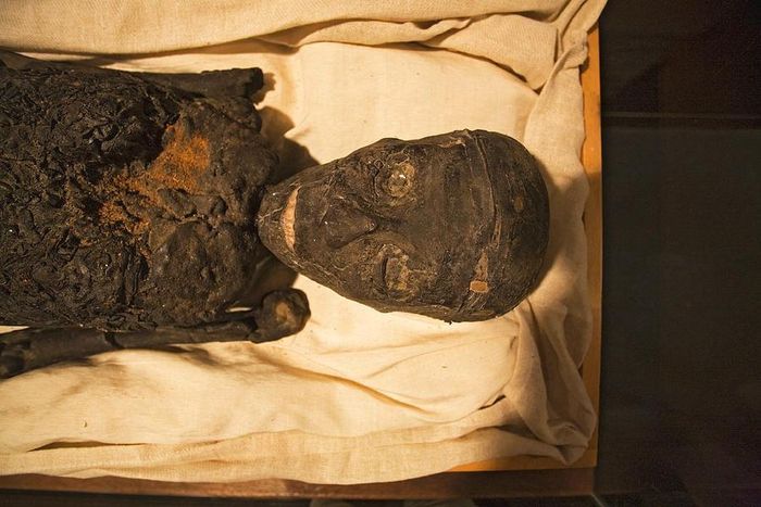 Ankhesenamun được biết đến là người vợ duy nhất của vua Tutankhamun.