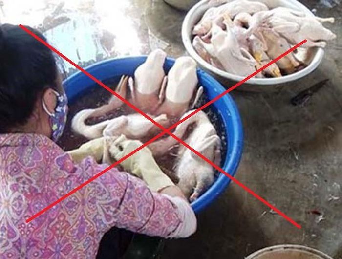  Không sát sinh, không ăn thịt chó, mèo, vịt trong ngày này 