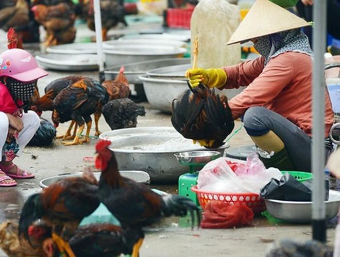  Nếu sát sinh trong ngày rằm tháng giêng, bạn sẽ gặp nhiều điều xui xẻo, tài vận suy giảm, xảy ra nhiều chuyện không may như bệnh tật, tai nạn… 