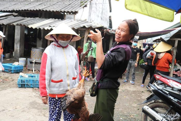 Gà giò để làm mâm cỗ ngày Rằm là mặt hàng được nhiều người quan tâm. Thường thì gà cỏ, nhỏ con, nuôi dài ngày được người dân lựa chọn để mua. Mâm cỗ ngày Rằm sẽ đẹp hơn nếu mua được con gà giò chuẩn.