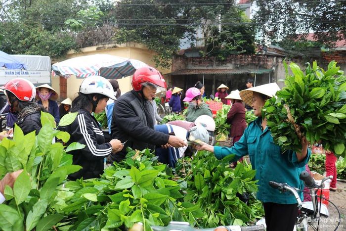 Đặc sản chè xanh ở các chợ miền núi cũng là thứ người dân đi sắm Rằm tìm mua.