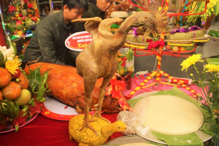 Thế gà đứng "cưỡi rùa".