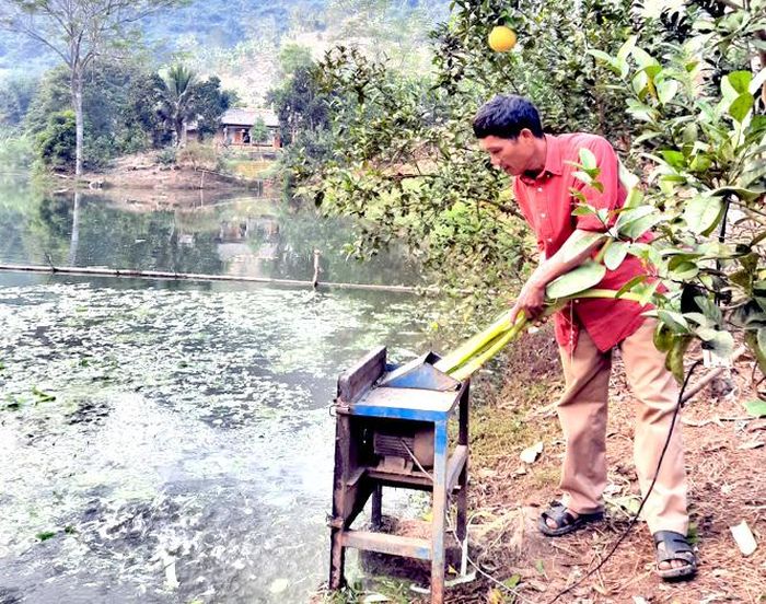 Ông Trần Mạnh Thắng cho cá ăn.