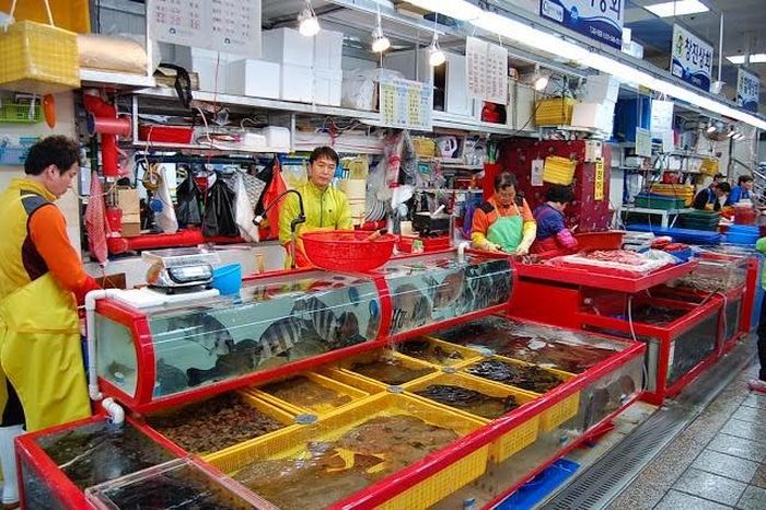Con phố này có tới hơn 500 quán gỏi cá