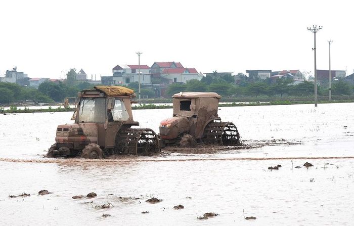 Nguồn nước dồi dào tạo điều kiện để ngành Nông nghiệp tỉnh Hà Nam sớm hoàn thành lấy nước đổ ải