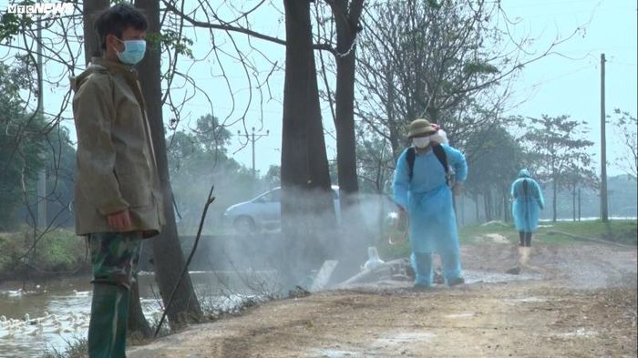 Sau khi có thông tin về dịch, xã Phú Nghĩa lập 1 chốt kiểm dịch tại thôn Phú Vinh và phun khử trùng quanh khu vực phát hiện dịch.