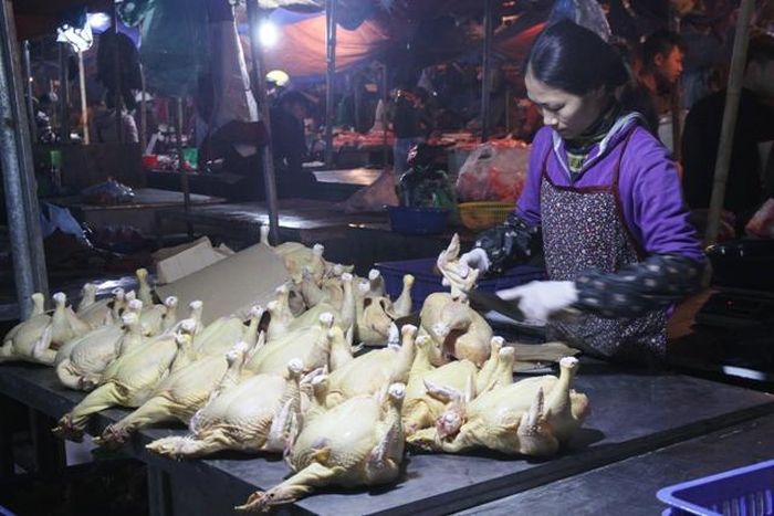 Thịt gà được các hộ tiểu thương làm sạch, sơ chế. Trong bối cảnh dịch cúm gia cầm đang có chiều hướng lan rộng, nhiều hộ kinh doanh bảy tỏ lo lắng việc buôn bán có thể bị ảnh hưởng.