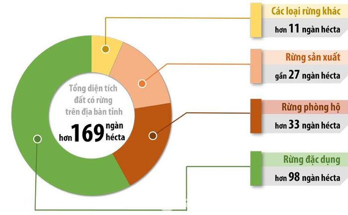 Biểu đồ thể hiện diện tích các loại rừng trên địa bàn tỉnh (Thông tin: Phạm Tùng - Đồ họa: Hải Quân)