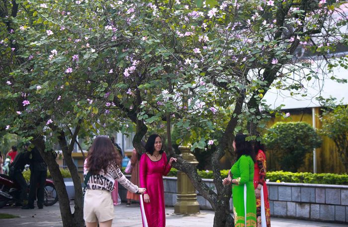 Nhiều người dân tranh thủ ghi lại những khoảnh khắc của đầu mùa xuân.