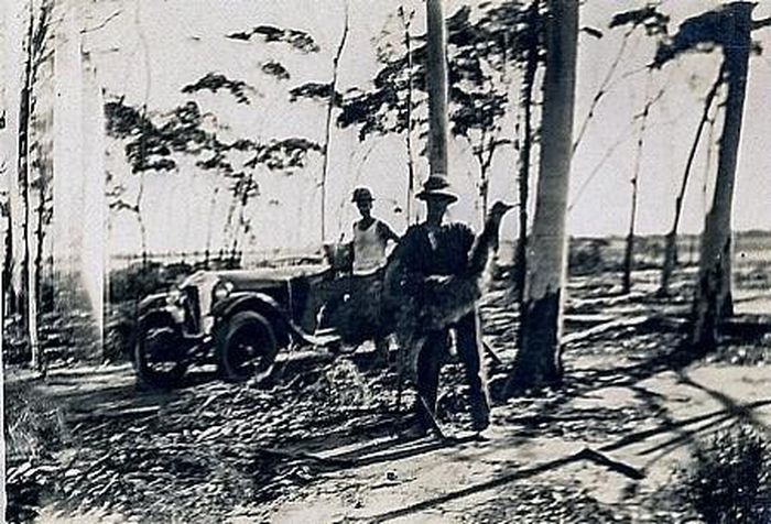 Đến giữa tháng 12/1932, quân đội Australia tiêu diệt được 986 con chim emu. Do chỉ tiêu diệt được một phần nhỏ loài chim emu nên cuối cùng cuộc chiến nhanh chóng chấm dứt. Theo đó, cuộc chiến với chim emu năm 1932 được ghi nhận là lần đầu tiên một loài chim giành chiến thắng trong một chiến dịch quân sự.