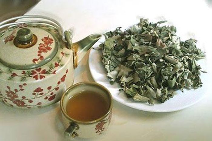 Bài thuốc trị viêm gan do virut.