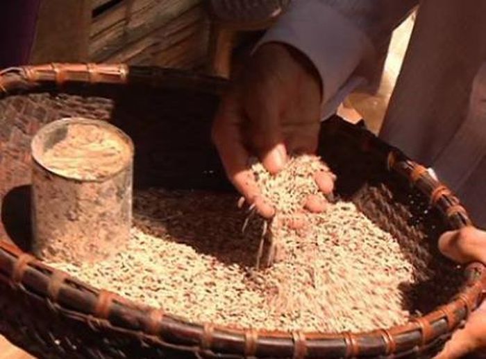 Ăn gạo ủ là nguyên nhân chính gây nên bệnh dày sừng bàn tay bàn chân.