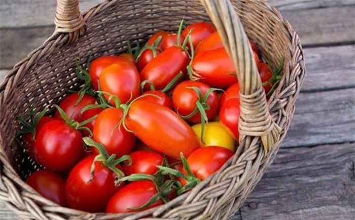 Cách đơn giản này giúp bạn vừa có quả ăn vừa làm cây cảnh, trang trí trong vườn nhà.