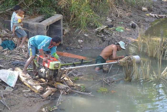 Nước nhiễm mặn, nhưng nông dân vẫn đánh liều bơm nước lên ruộng cứu lúa. 
