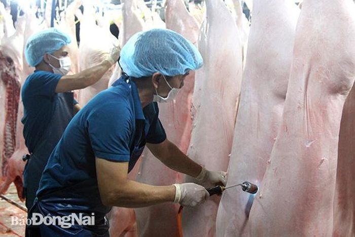 Các sản phẩm chăn nuôi được dự báo sẽ gặp nhiều sự cạnh tranh trong bối cảnh hội nhập theo lộ trình của các hiệp định thương mại tự do nên chú trọng đảm bảo chất lượng, truy xuất nguồn gốc. Trong ảnh: Quy trình giết mổ heo tại lò giết mổ tập trung của Công ty TNHH Thy Thọ (TP.Long Khánh).