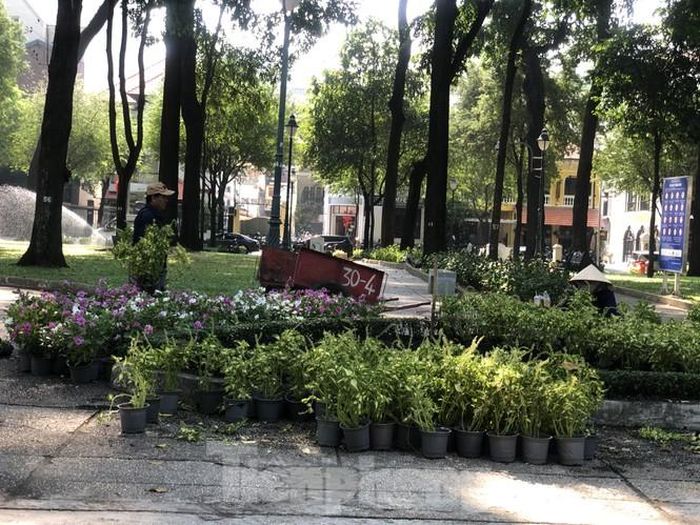 Nhân viên công ty cây xanh cũng tất bật hơn cho công việc làm đẹp bộ mặt đô thị. Bà Thu (57 tuổi), hơn 20 năm gắn bó với nghề chia sẻ: "Trong những ngày cao điểm của dịch bệnh, thành phố vắng hoe, không còn thấy cảnh các bạn trẻ đến học bài, tổ chức hát hò như trước. Thành phố buồn đến lạ. Bây giờ đỡ hơn rồi, hy vọng vài ngày tới, công viên sẽ nhộn nhịp trở lại".