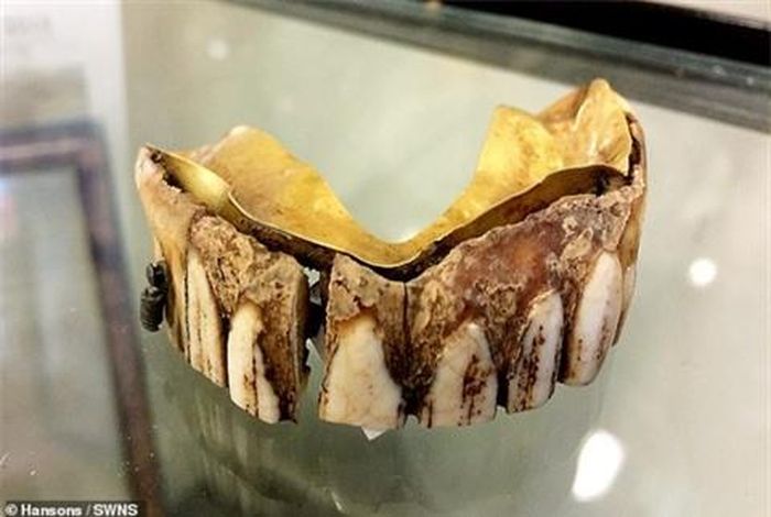Chất liệu làm hàm răng này là từ vàng, ngà voi hoặc sừng tê giác