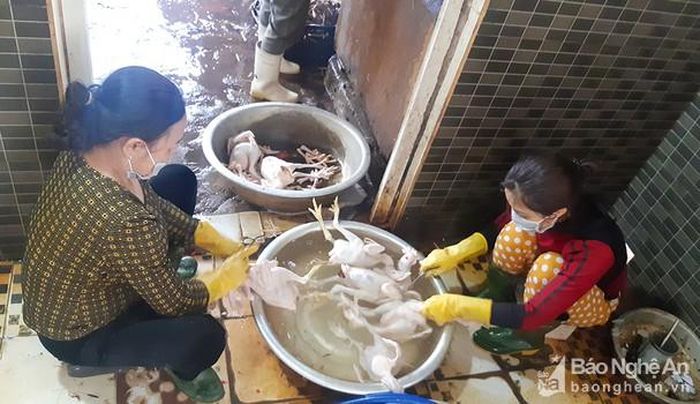 Mỗi ngày, gia đình bà Phạm Thị Loan ở khối 1, phường Vinh Tân (TP. Vinh) giết mổ khoảng 300 con gia cầm. Ảnh: Phú Hương