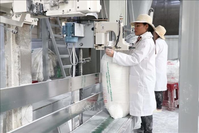 Công nhân sản xuất tại nhà máy tinh bột sắn của Công ty TNHH Thương mại Chế biến nông - lâm sản - đường Vạn Phát, huyện Krông Pa.