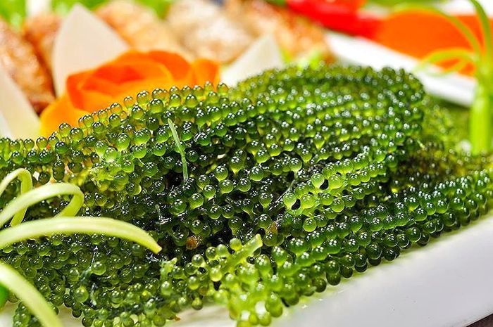 Loại rong biển này đặc biệt giàu giá trị dinh dưỡng, có vị ngon đặc trưng của biển cả và hình dạng giống như chùm nho. Người bình thường ít ai biết được loại rong nho này có giá trị cao, tuy nhiên ở phương Tây, đặc biệt là Nhật thì người ta rất quen thuộc với loại thực phẩm này.