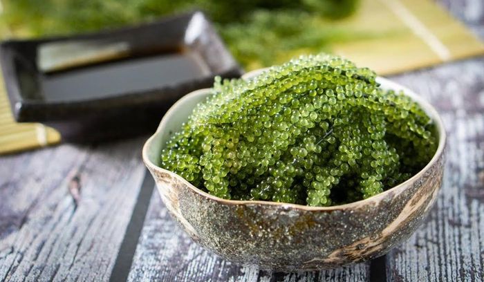 Rong nho có hàm lượng chất khoáng nhiều, nhất là sinh tố, canxi, sắt… rất hữa ích cho sức khỏe và hỗ trợ nhiều cho việc chữa bệnh như: nhuận trường và giải độc gan; bình thường hóa lượng đường trong cơ thể; giảm cholesterol và ổn định huyết áp… Ngoài ra, rong nho còn được xem là sản phẩm dùng làm đẹp da cho phụ nữ rất hữu hiệu. Ảnh: Internet. 