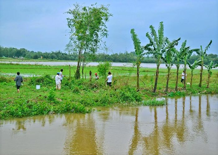 Người dân thôn Hưng Nhơn lùng sục bắt chuột đồng trên đồng ruộng, ao hồ. Ảnh: LĐV