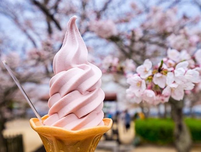 Vì không sử dụng chất tạo màu, tạo mùi nên thực khách sẽ được thưởng thức trọn vẹn hương vị tự nhiên nhất của hoa anh đào