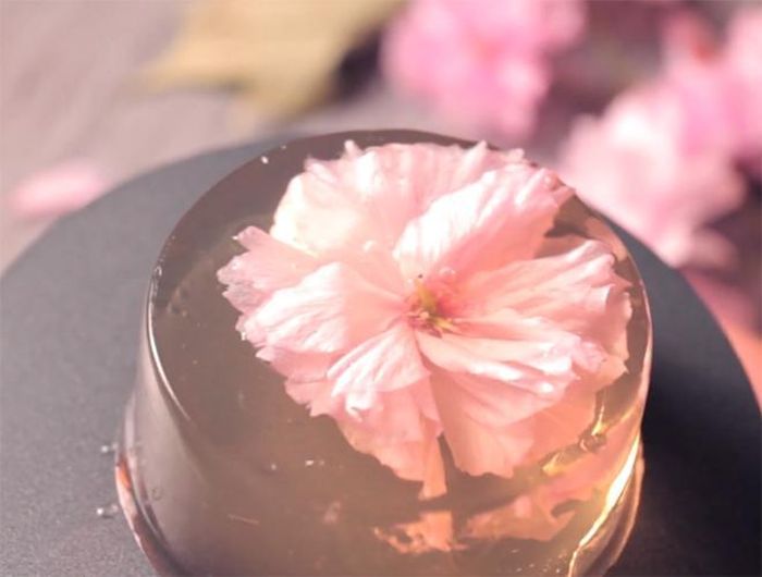 Nhờ lớp thạch trong suốt, chúng ta có thể nhìn thấy cả những cánh hoa anh đào hồng nhạt nằm lơ lửng bên trong