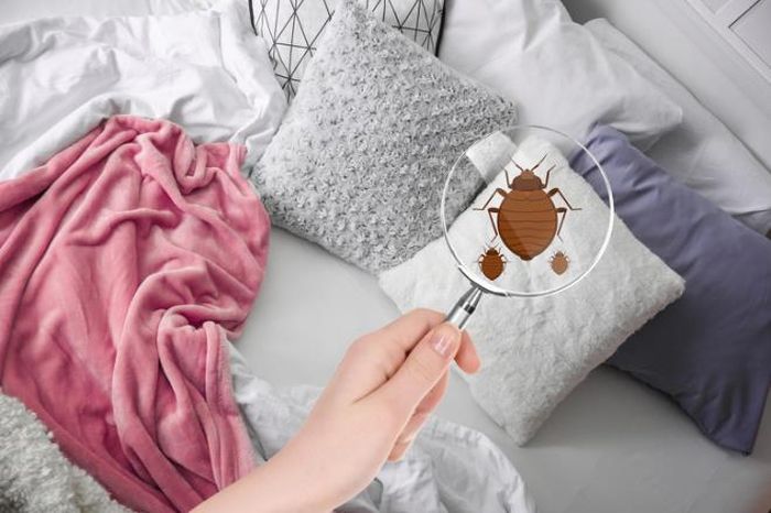 Không thay gối: Nhiều người không để ý rằng, mỗi đêm bạn ngủ, gối của bạn sẽ hấp thụ da, tóc và dầu cơ thể, nghĩa là gối sẽ rất nhiều bụi bẩn. Dần dần, những bụi bẩn và nấm mốc sẽ là nơi vi khuẩn phát triển gây dị ứng da và nguy hại cho sức khỏe của bạn.