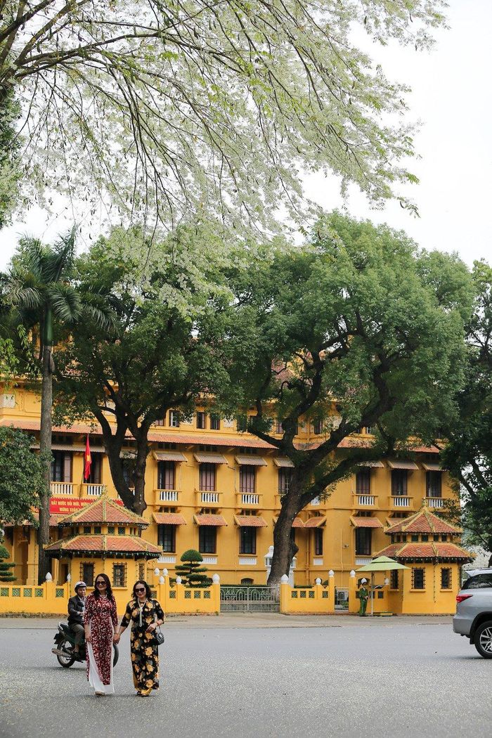 Nhiều người dân cũng tranh thủ lưu lại những khoảnh khắc đẹp cùng với loài hoa độc đáo này.