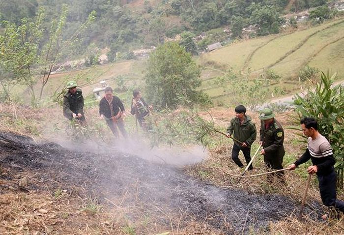Dập tắt tàn tro, tránh để cháy lan vào rừng.