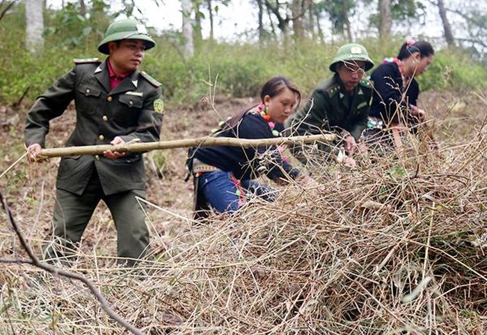 Thu gom vật liệu dễ cháy.