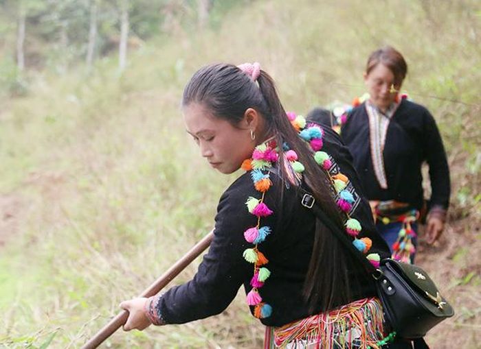 Phát đường băng cản lửa.