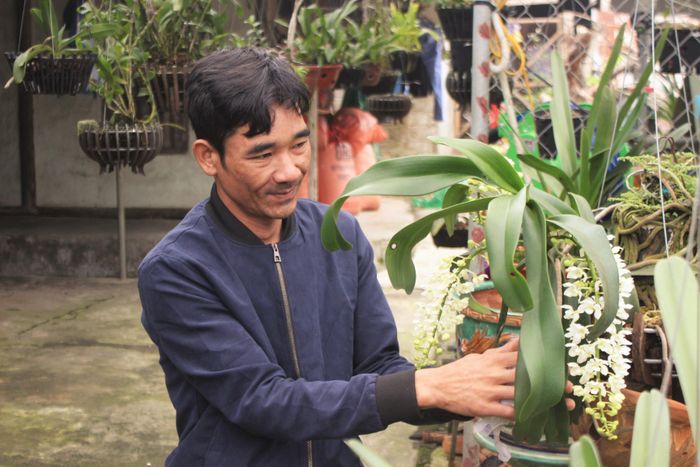Tốt nghiệp Khoa Công nghệ thông tin trường Đại học Đà Nẵng, sau nhiễu năm thử sức với nghề ở miền Nam, vào năm 2014, anh Long quyết định trở về quê lập nghiệp ngay tại khu vườn rộng hơn 400m2 của gia đình bằng việc trồng lan rừng.