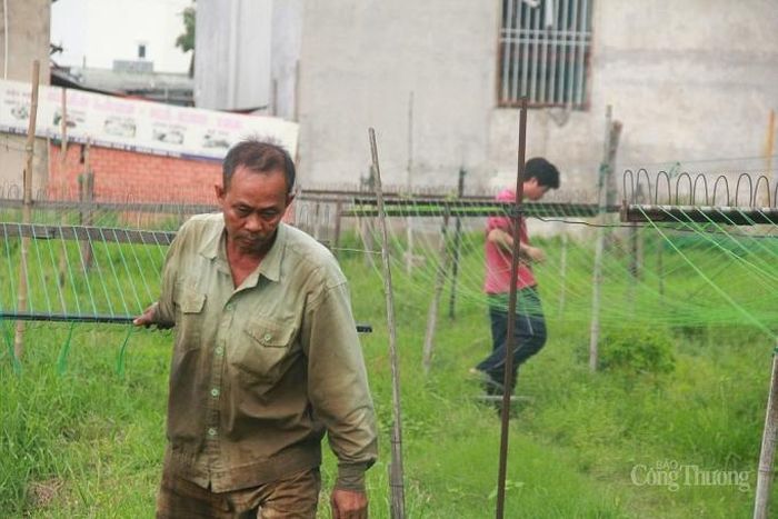 Công việc này đòi hỏi phải làm ở nơi rộng rãi, bằng phẳng. Những người dân phải hùn tiền thuê một khu đất trống rộng hàng nghìn m2 và dựng nhà tạm bợ ngay tại đây để làm nghề.