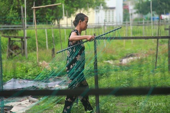 Trước đây, những người dân ở xóm này vì cái nghèo, cái khổ mà đành rời xa nơi "chôn nhau cắt rốn" của mình để lên Sài Gòn. Đa số là các gia đình tới từ An Giang, cũng có người từ Cà Mau, Cần Thơ.