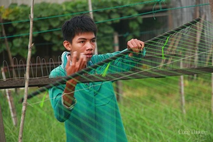 Những cuộn dây cước được đưa vào máy cuốn và kéo dài ra phía ngoài bãi đất trống, sau đó cho máy cuốn lại để bện những sợi cước nhỏ thành dây thừng.